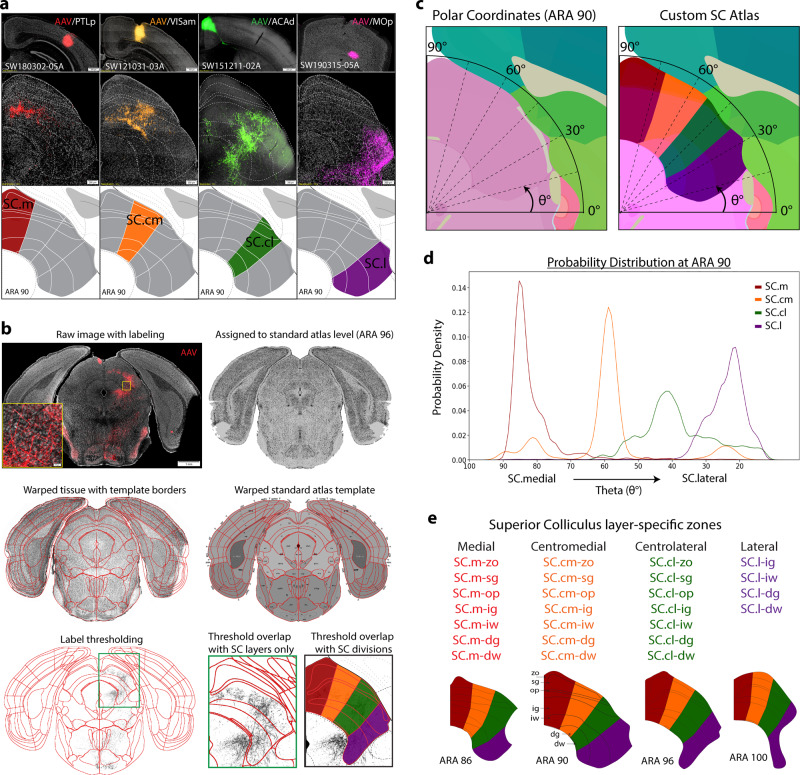 Organization of the inputs and outputs of the mouse superior colliculus is released on Nature Communications