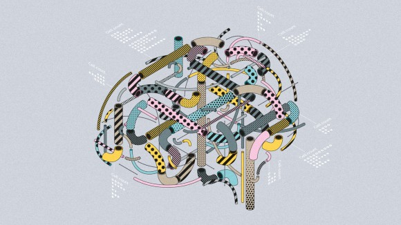 Cellular anatomy of the mouse primary motor cortex