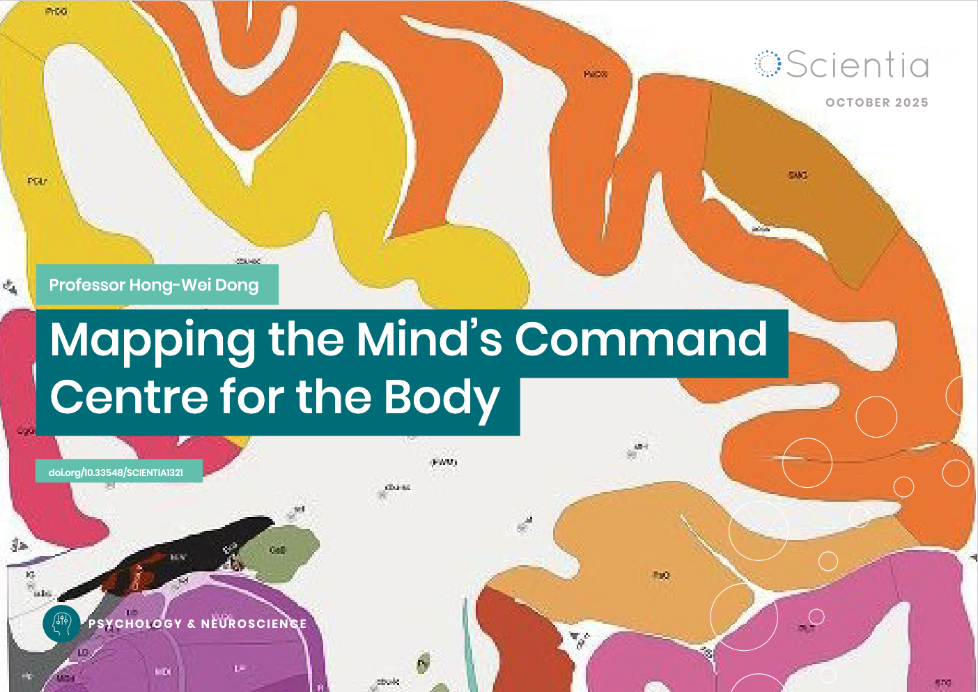 Mapping the Brain’s Internal Command Center: A Newly Defined Visceromotor Cortex