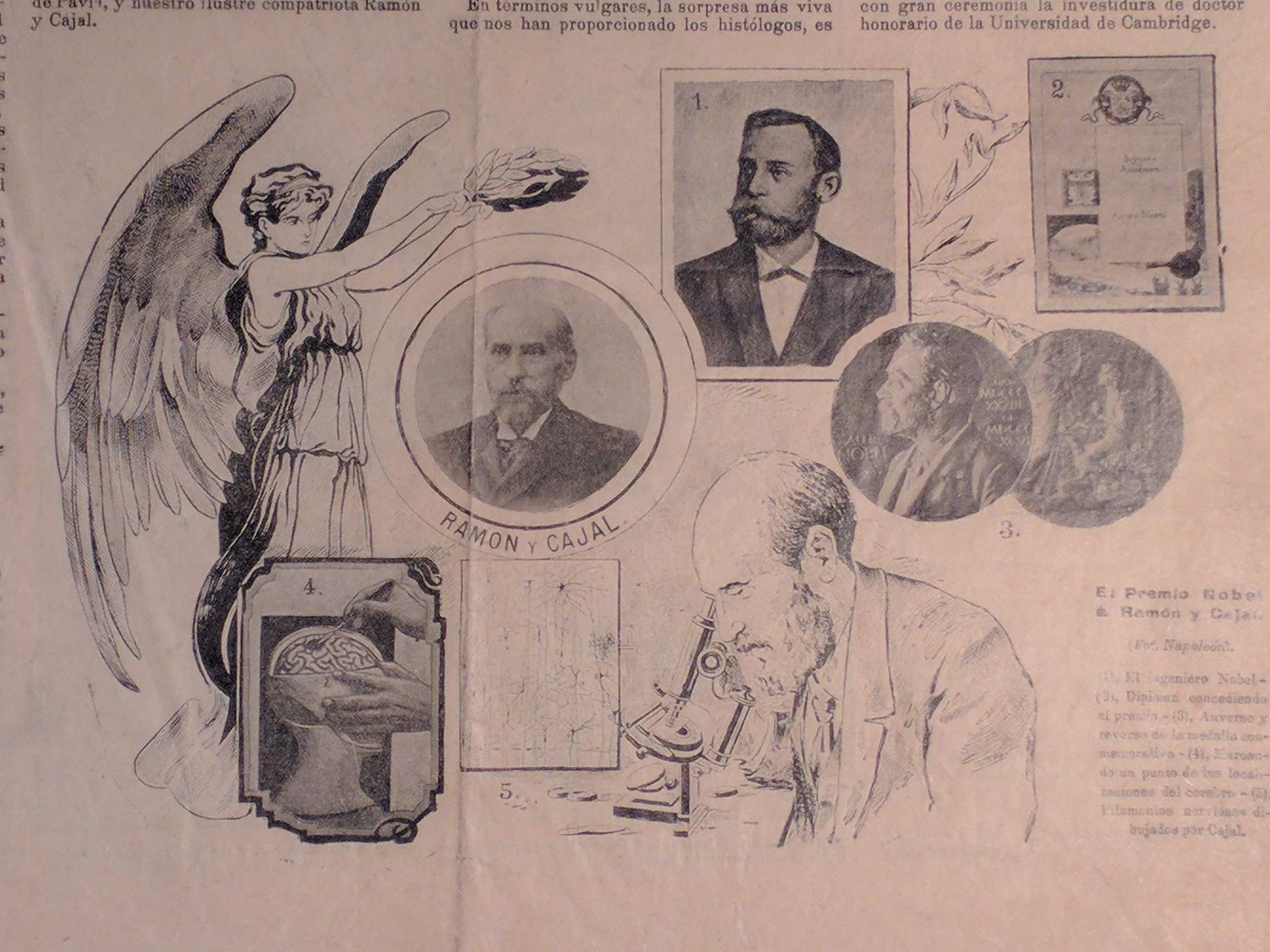 Professor Hong-Wei Dong Awarded 2025 Krieg Cortical Discoverer Award